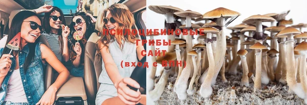 Альфа ПВП Арсеньев