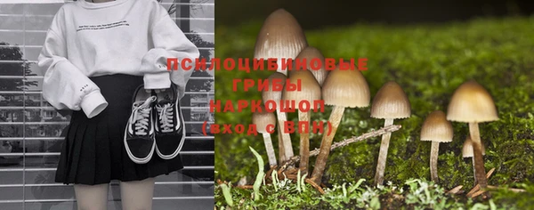 Альфа ПВП Арсеньев